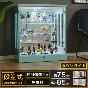 With Plan（ウィズプラン） アウトレット コレクションケース 段差式
