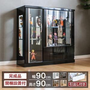 With Plan（ウィズプラン） コレクションケース Aガラス戸タイプ 幅