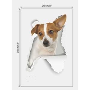 犬　ウォールステッカー　ステッカー　｜csanetshop