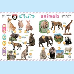 【ギフト 特典あり】押すだけで日本語と英語が聞...の詳細画像4