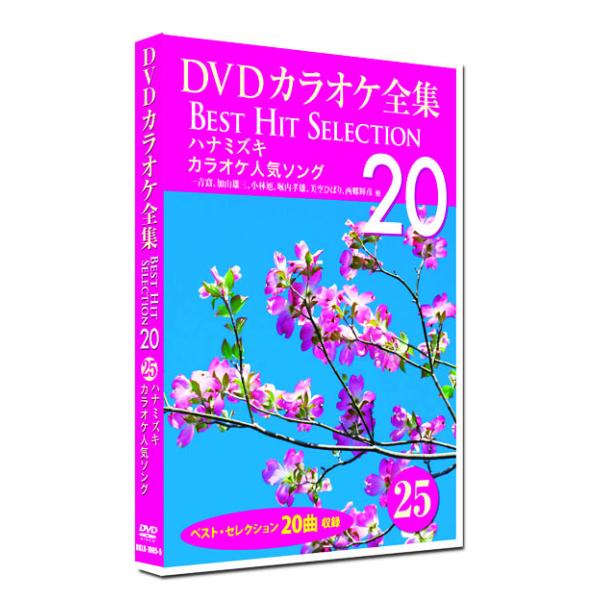 新品 DVD カラオケ全集25 BEST HIT SELECTION カラオケ人気ソング (DVD)...