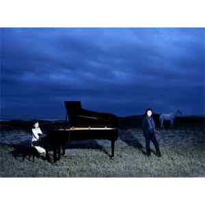新品 S.E.N.S.(センス) PURE B...の詳細画像2