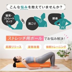 ストレッチ用ポール ハルクファクター ロング ...の詳細画像1