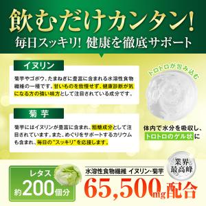 ハルクファクター イヌリン サプリ 300粒 ...の詳細画像3