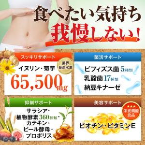 ハルクファクター イヌリン サプリ 300粒 ...の詳細画像4