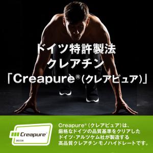 ハルクファクター クレアチン モノハイドレート...の詳細画像2