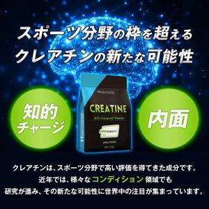 ハルクファクター クレアチン モノハイドレート...の詳細画像5
