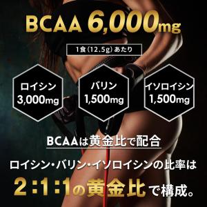 BCAA パウダー 人工甘味料不使用 サプリ ...の詳細画像4