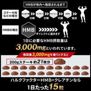HMB クレアチン サプリメント 151500...の詳細画像4