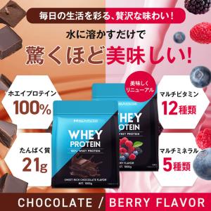 ホエイプロテイン WPC 1kg×2袋 2kg...の詳細画像3