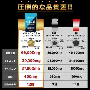 シトルリン アルギニン 66,000mg ハル...の詳細画像3