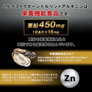 シトルリン アルギニン 66,000mg ハル...の詳細画像5