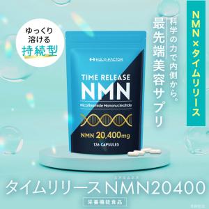 タイムリリース NMN サプリ 20400mg...の詳細画像2