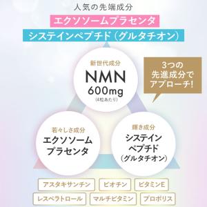 タイムリリース NMN サプリ 20400mg...の詳細画像4