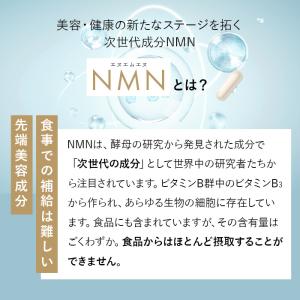 タイムリリース NMN サプリ 20400mg...の詳細画像5