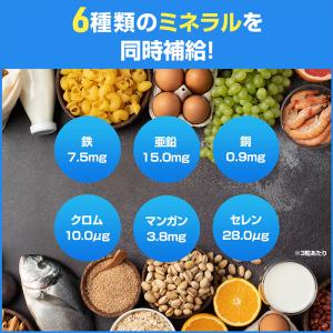 ハルクファクター マルチビタミン&ミネラル サ...の詳細画像3