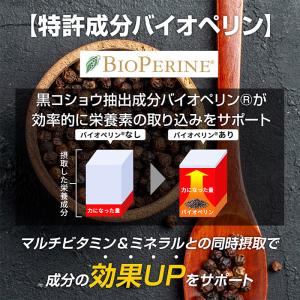 ハルクファクター マルチビタミン&ミネラル サ...の詳細画像5
