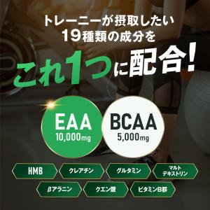 全部入り ハルクファクター オールインワン 配...の詳細画像4
