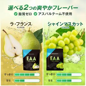 全部入り ハルクファクター オールインワン 配...の詳細画像2