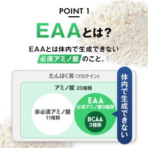 全部入り ハルクファクター オールインワン 配...の詳細画像4