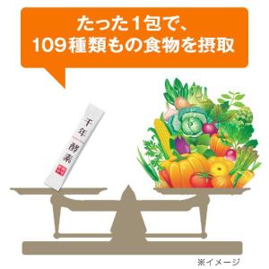 千年酵素 30包 3箱セット 109種類の野菜...の詳細画像4