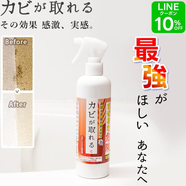 カビ取り剤 カビが取れる カビ取りスプレー 300ml 風呂場 壁 天井 パッキン 風呂 カビ対策 ...