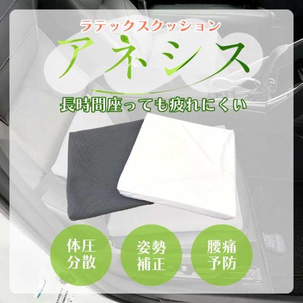 ラテックスクッション【アネシス】
