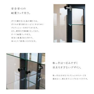 コレクションケース 幅140cm ロータイプ ...の詳細画像4
