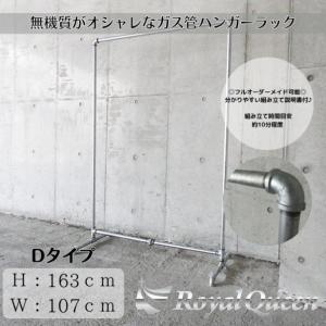 ガス管 ハンガーラック 2段式 タイプF 約W108cm×H188cm : Royal