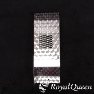 日野 グランドプロフィア オーバーフェンダーパネル ステンレス ウロコ