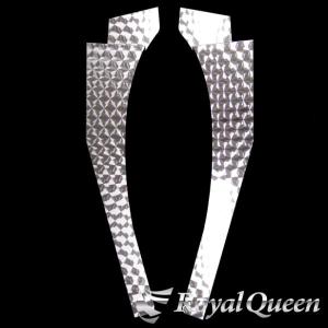 日野 グランドプロフィア オーバーフェンダーパネル ステンレス ウロコ