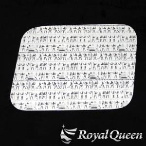 UD クオン/パーフェクトクオン/フレンズコンドル 安全窓パネル