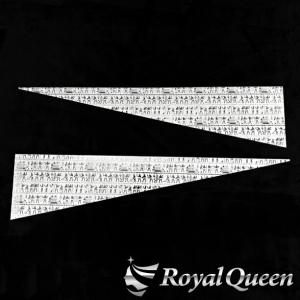 リニューアル♪両面ウロコ仕様！日野/HINO 17/グランドプロフィア/17