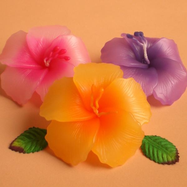 ハイビスカス フローティングキャンドル アソート 12個入り 水に浮かぶ 香りつきアロマキャンドル