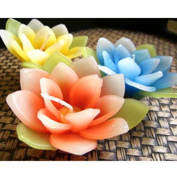ロータス（蓮）フローティングキャンドル アソート 12個入り 水に浮かぶ 香りつきアロマキャンドル
