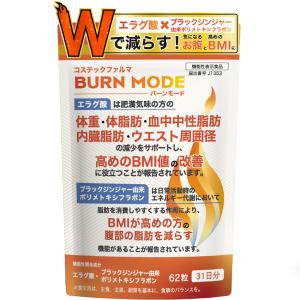 キラリズム 【 2袋セット 】 スリリン ファイア SLILIN F 22.5g