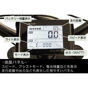 《大人気!》CYCOO(サイクー)GHOST(...の詳細画像3