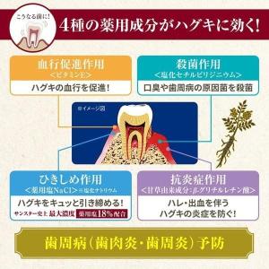 サンスター 薬用塩ハミガキ 85g 医薬部外品...の詳細画像4