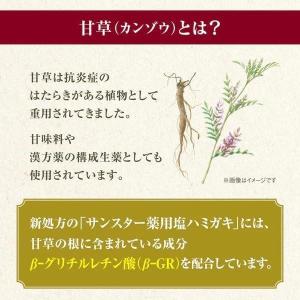 サンスター 薬用塩ハミガキ 85g 医薬部外品の詳細画像3