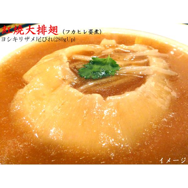 フカヒレ ヨシキリザメ尾びれ 大（288g） 冷凍 業務用排翅 1枚