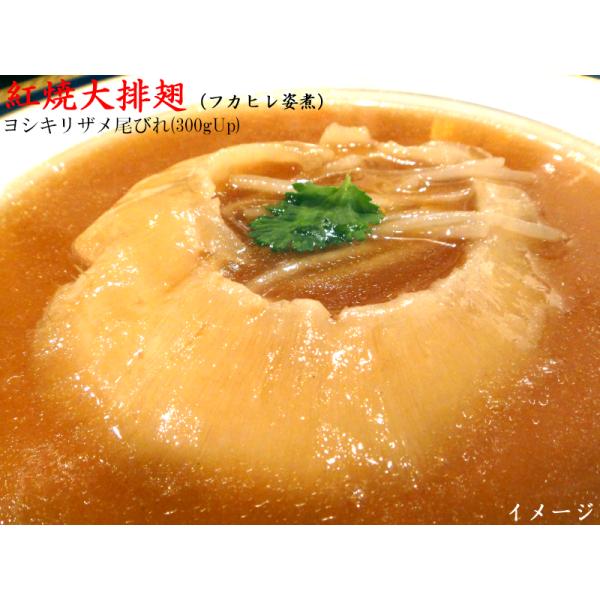 フカヒレ ヨシキリザメ尾びれ 特大（378g） 冷凍 業務用排翅 1枚