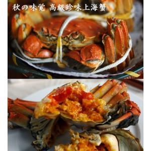 上海蟹みそ 蟹粉 業務用500g 上海蟹の旨み...の詳細画像2
