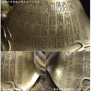 ロングイの置物 招財 百寿大龍亀(ドラゴンタートル)の詳細画像2