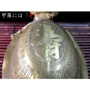 ロングイの置物 招財 百寿大龍亀(ドラゴンタートル)の詳細画像3