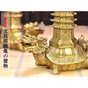 ヒキュウの置物 亀に乗った珍しいデザイン 招財双角貔貅 宝くじ : 中国