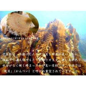 干し貝柱 北海道産ホタテ 砕け 業務用1kgの詳細画像2