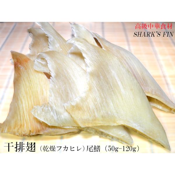 フカヒレ 乾燥排翅 尾鰭（50-120g）54g 1枚入