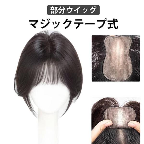 ピンなし ウィッグ 部分ウイッグ ピン無し トップヘアピース 頭頂部 白髪隠し ウィッグ ポイントウ...