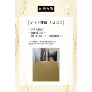 5/23リニューアル新発売【QRコード/公式リ...の詳細画像3