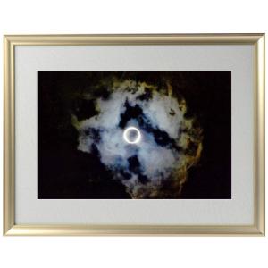 ポイント10倍 奇跡の写真 秋元 隆良 「ガジュマルの精霊（キジムナー